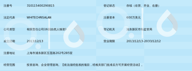 專業引領，價值共創 愛珂投資咨詢的服務理念與實踐